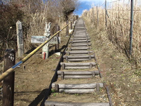 20160108hike (81)